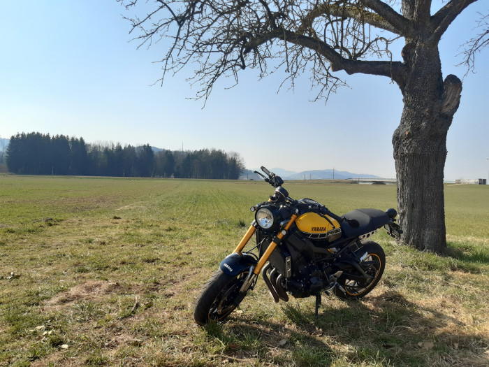 Photo of YAMAHA XSR 900 (2016)