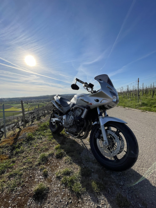 Photo of HONDA CB 600 (2004)