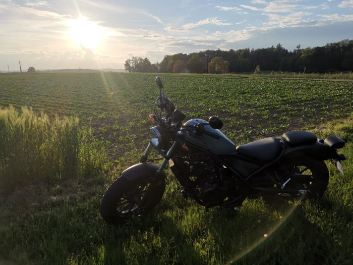 Photo of HONDA CMX 500 (2018)