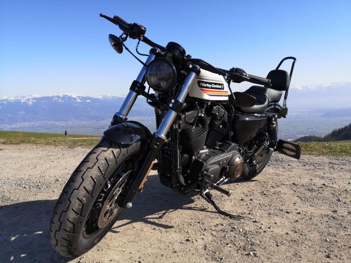 Picture of HARLEY-DAVIDSON Sportster (2020)