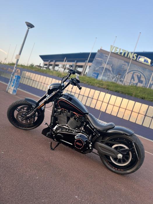 Photo of HARLEY-DAVIDSON Softail (2019)