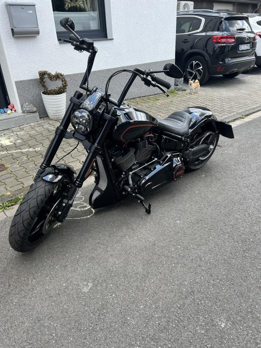 Photo of HARLEY-DAVIDSON Softail (2019)