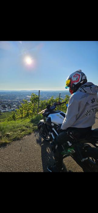 Photo of YAMAHA MT-07 (2017)