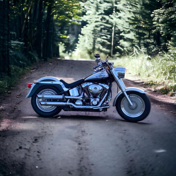 Photo of HARLEY-DAVIDSON Softail (2003)