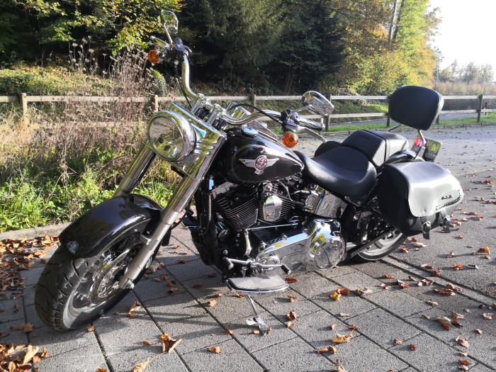 Picture of HARLEY-DAVIDSON Softail (2016)