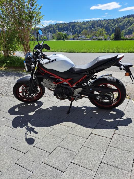 Photo of SUZUKI SV 650 (2021)