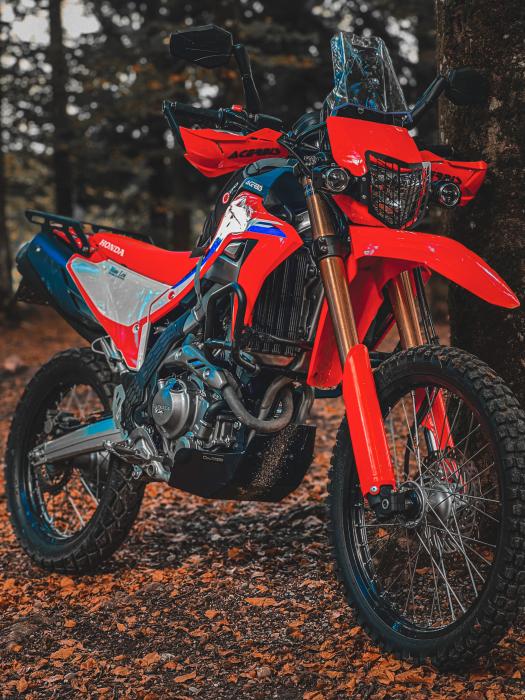 Photo of HONDA CRF 300 (2021)