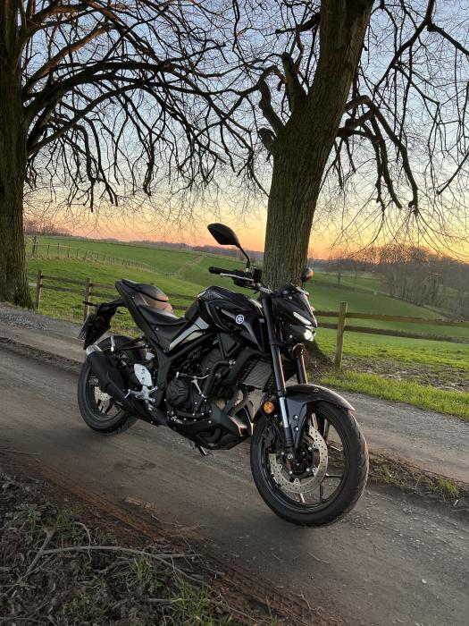 Photo of YAMAHA MT-03 (2020)