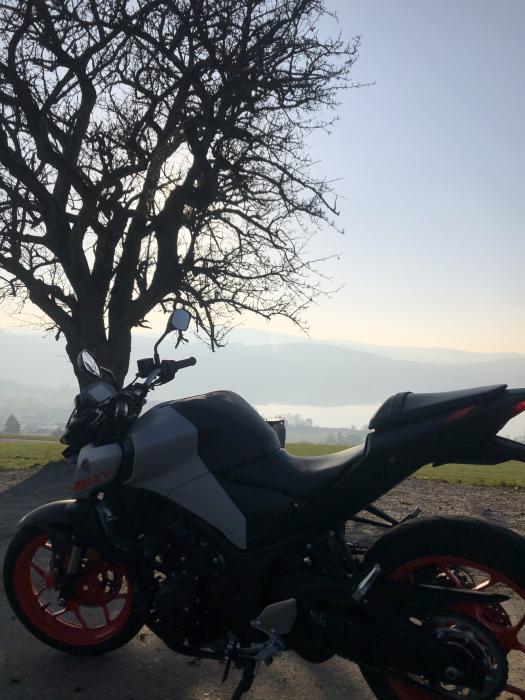 Photo of YAMAHA MT-03 (2020)