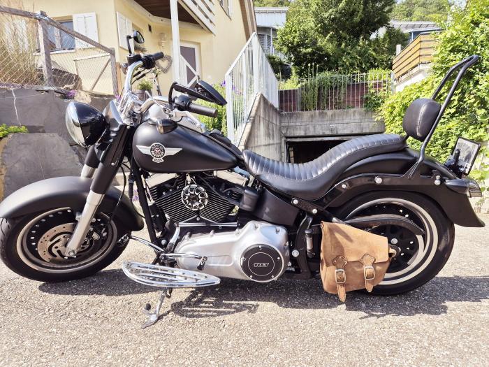 Photo of HARLEY-DAVIDSON Softail (2013)