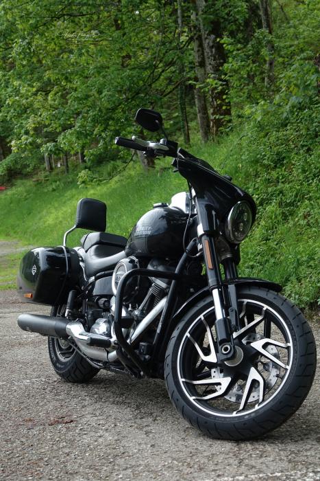 Photo of HARLEY-DAVIDSON Sport Glide (2021)