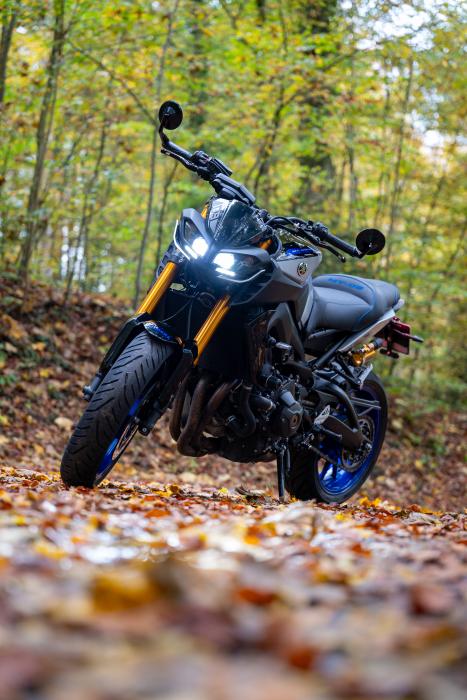 Photo of YAMAHA MT-09 (2020)