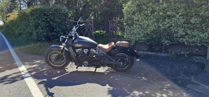 Photo of INDIAN SCOUT (2017)