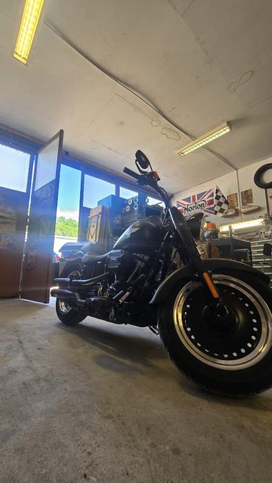 Photo of HARLEY-DAVIDSON Softail (2016)