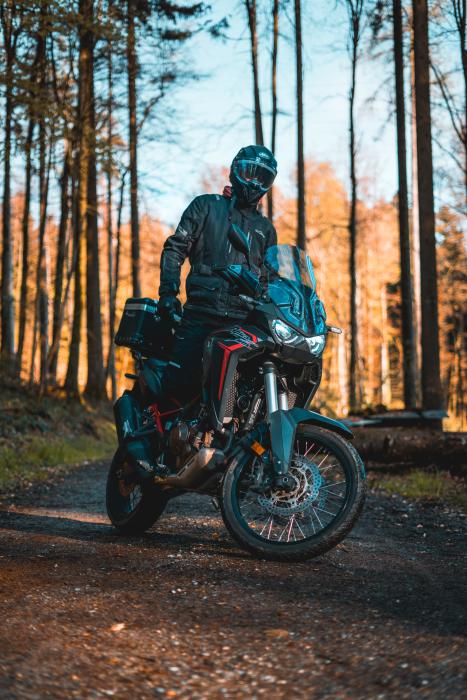 Picture of HONDA CRF 1100 (2019)