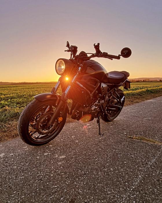 Photo of YAMAHA XSR 700 (2020)