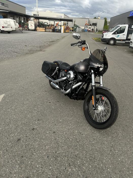 Picture of HARLEY-DAVIDSON Softail (2017)