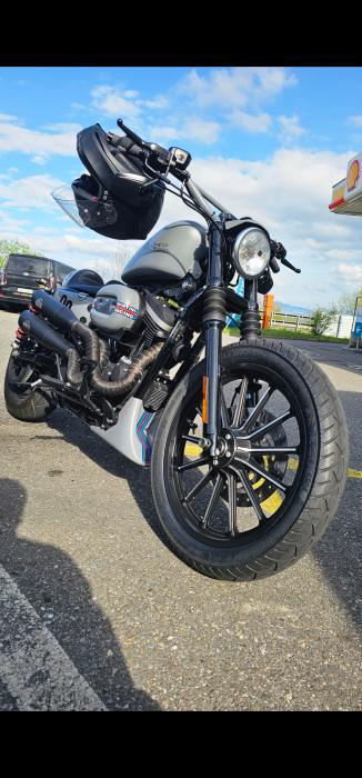 Picture of HARLEY-DAVIDSON Sportster (2009)