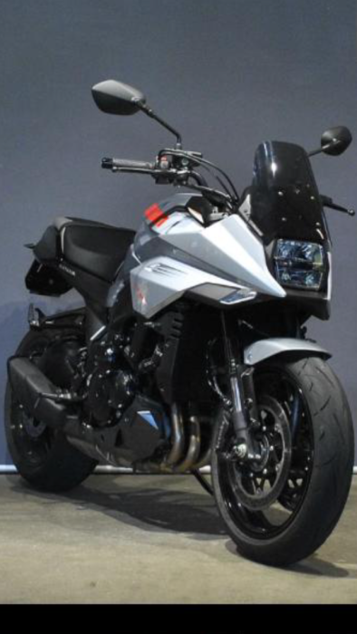 Picture of SUZUKI GSX-S 1000 (2020)