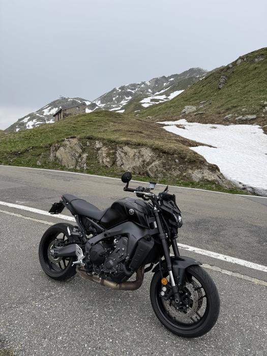 Picture of YAMAHA MT-09 (2022)