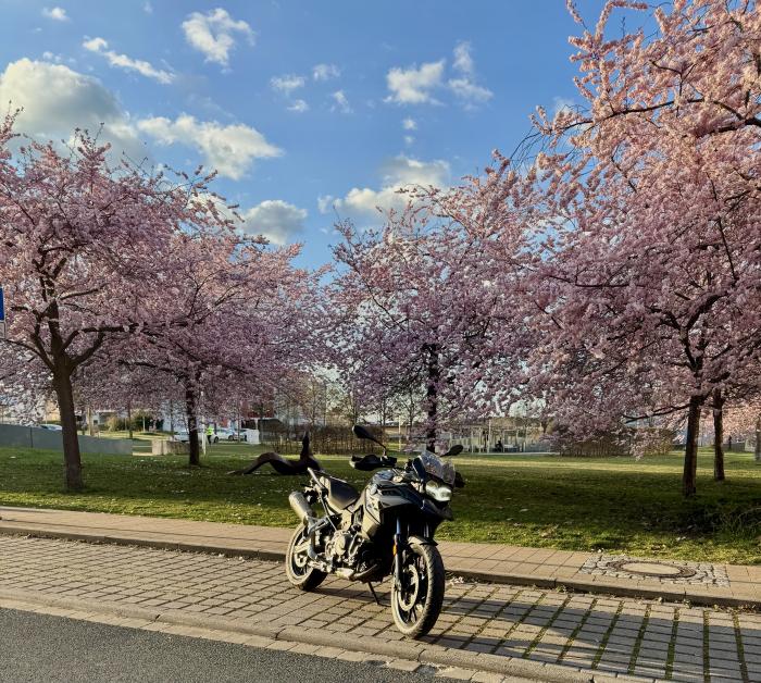 Photo of BMW F 800 (2024)