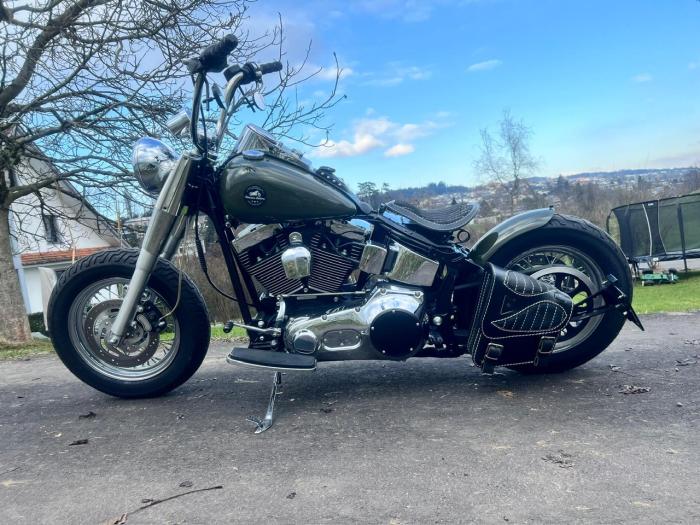 Picture of HARLEY-DAVIDSON Softail (2001)