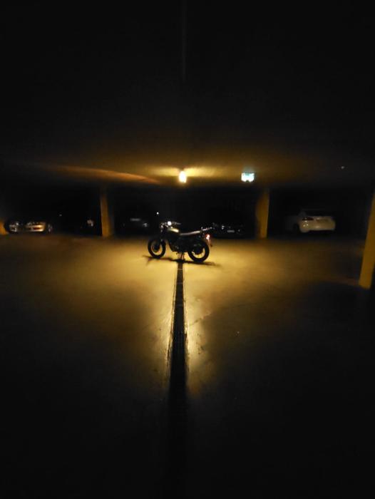 Photo of BRIXTON FELSBERG (2018)