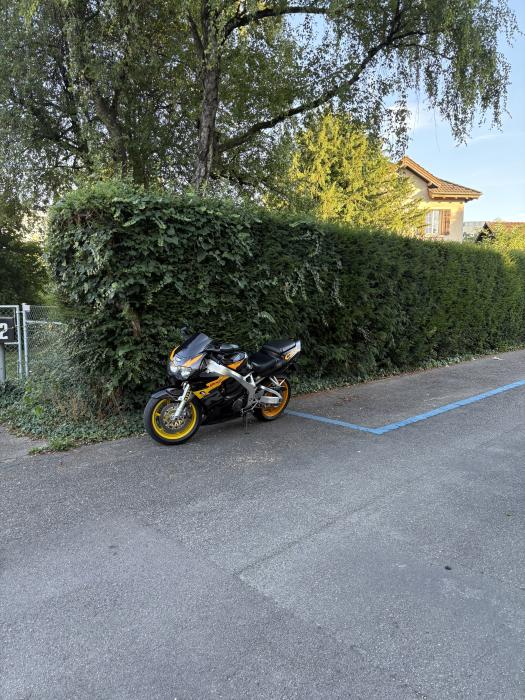 Photo of HONDA CBR 900 (1996)