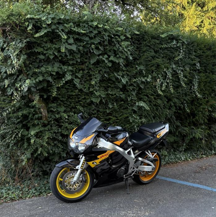 Photo of HONDA CBR 900 (1996)