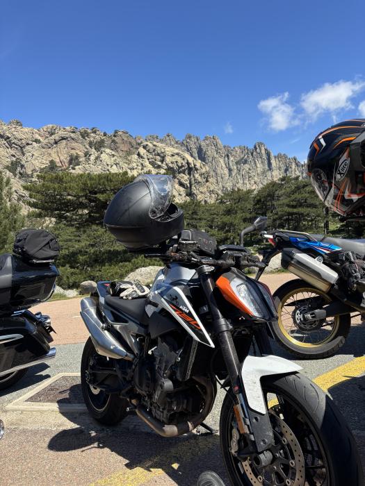 Photo of KTM 790 Duke (2018)