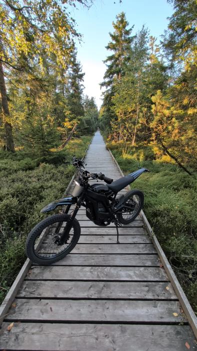 Photo of SURRON Light Bee (2025)