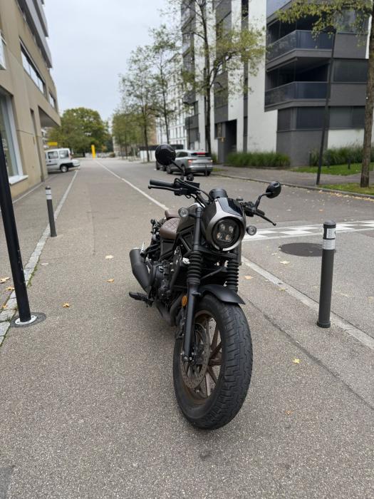 Picture of HONDA CMX 500 (2023)