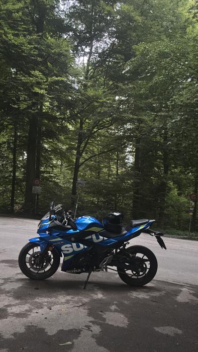 Photo of SUZUKI GSX-R 250 (2019)