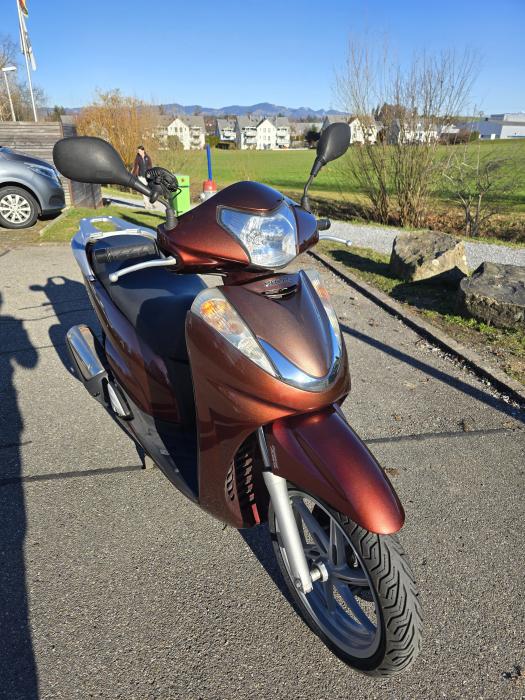 Photo of HONDA SH (2011)