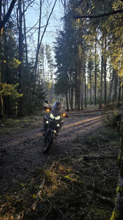 Photo of HONDA CRF 1100 (2024)