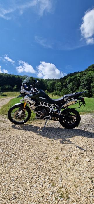 Picture of TRIUMPH Tiger (2021)