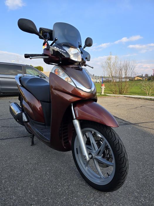 Picture of HONDA SH (2011)