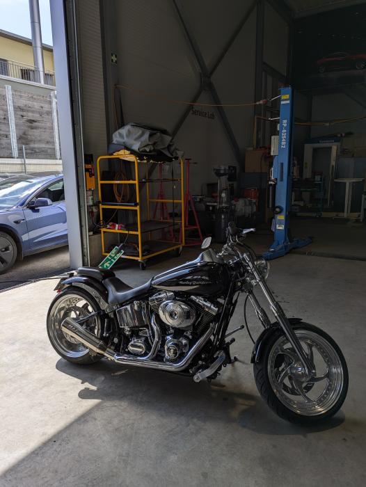 Photo of HARLEY-DAVIDSON Softail (2003)