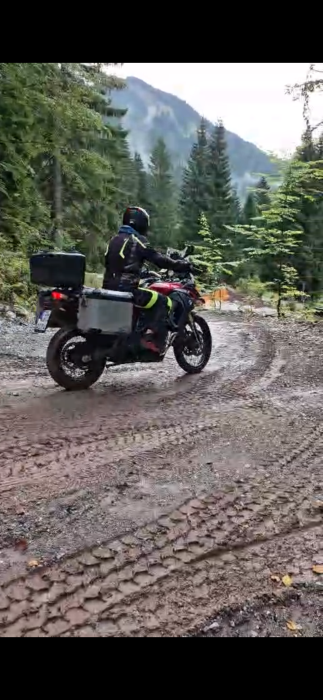 Profile picture of Anton