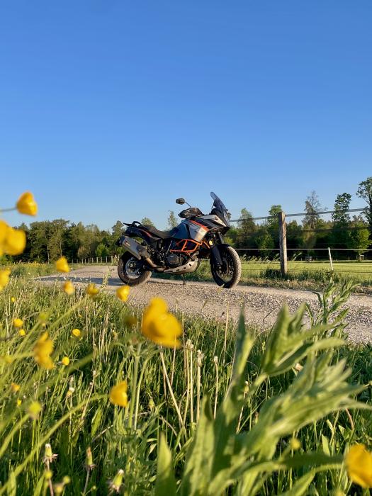 Picture of KTM Adventure (2013)