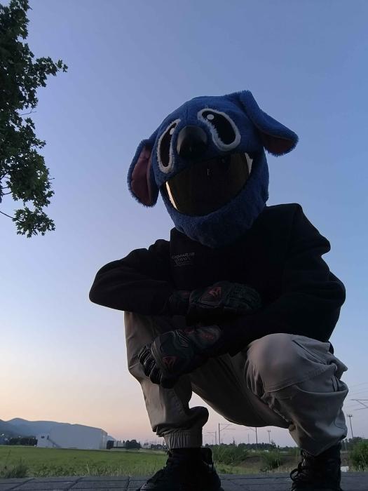 Profile picture of Niklas