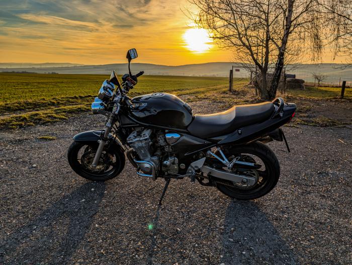 Photo of SUZUKI GSF 600 (2000)