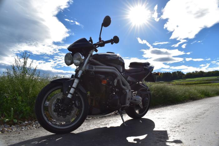 Picture of TRIUMPH Speed Triple (2001)