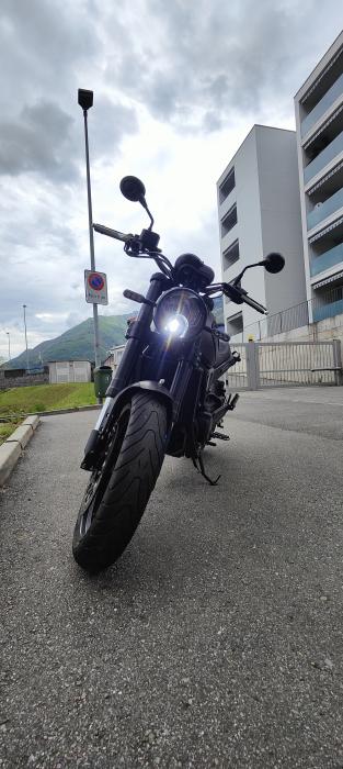 Photo of BENELLI Leoncino (2020)