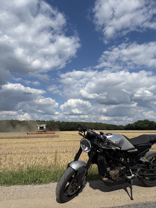 Photo of HUSQVARNA VITPILEN (2020)