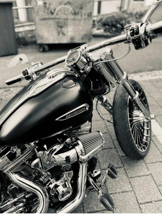 Picture of HARLEY-DAVIDSON CVO (2014)
