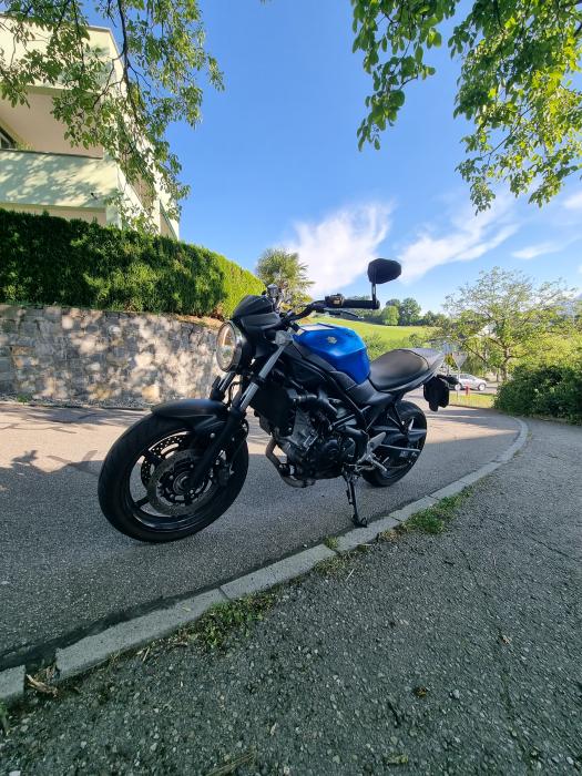 Picture of SUZUKI SV 650 (2016)