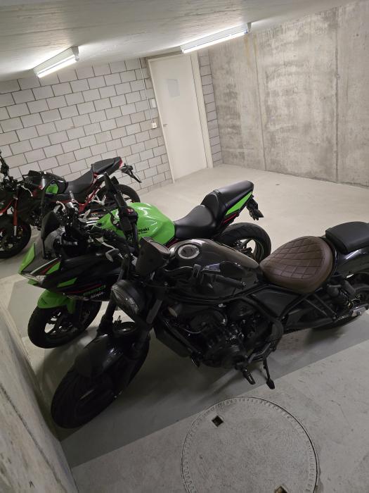 Photo of HONDA CMX 1100 (2023)