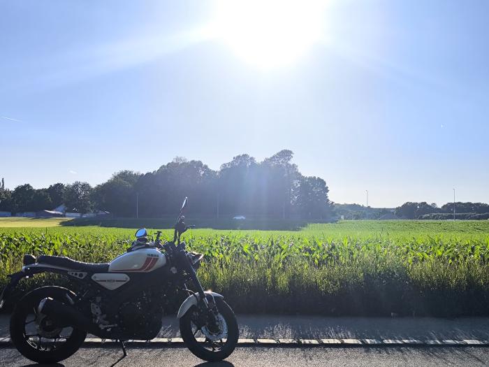 Photo of YAMAHA XSR 125 (2024)