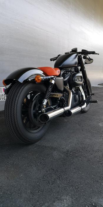 Picture of HARLEY-DAVIDSON Sportster (2010)